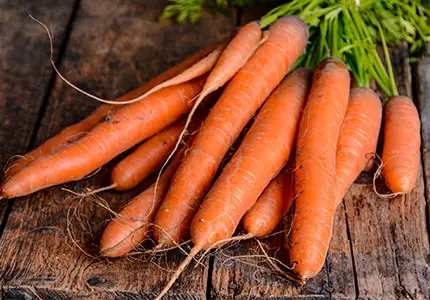 Polvere di carota biologica