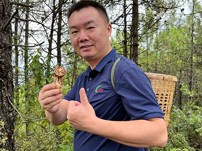 ACE aveva un tour di esplorazione di funghi selvatici intorno alla montagna di Shangri-La.