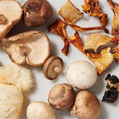 Il nuovo studio rileva che i funghi sono efficaci come gli integratori di vitamina D