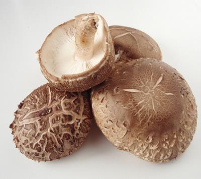 Effetto antivirale dell'estratto di funghi Shiitake