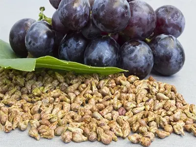 Quali sono gli effetti dell'estratto di semi d'uva?