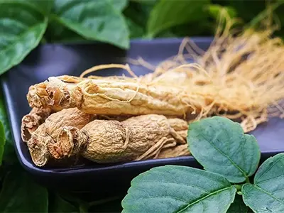 Qual è l'effetto dell'estratto di panax ginseng?