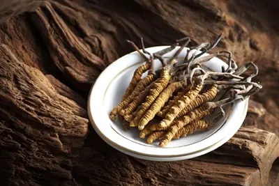 Aumentare l'energia e la resistenza: come l'estratto di Cordyceps Sinensis può aiutare